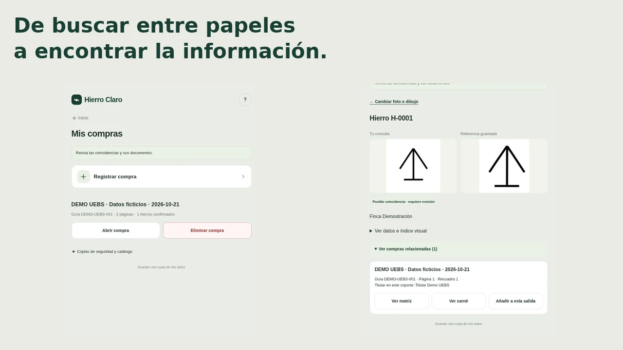 Demostración de Hierros
